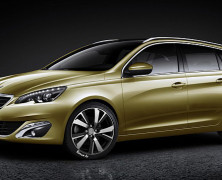 Novi 308 SW