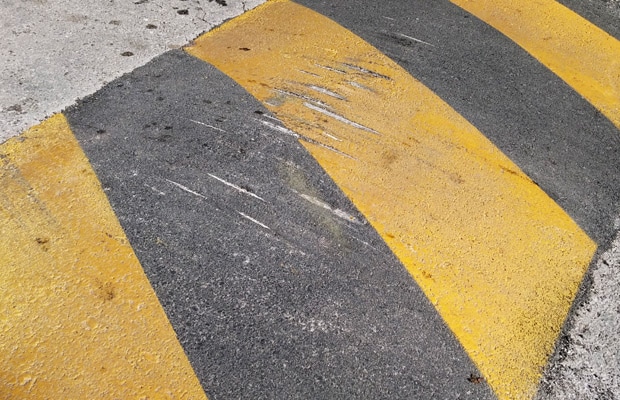 lezeci-policajci-2016-03