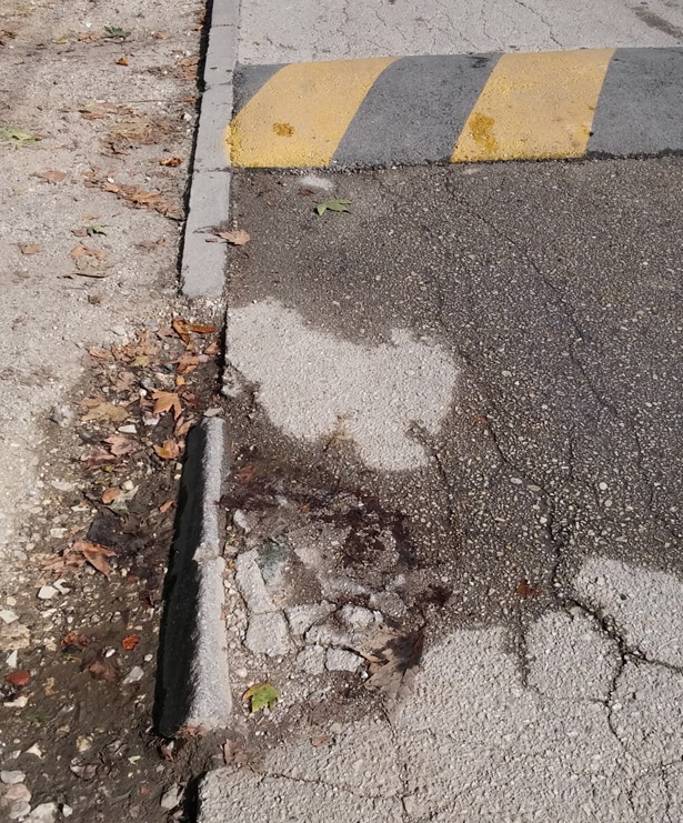 lezeci-policajci-2016-05