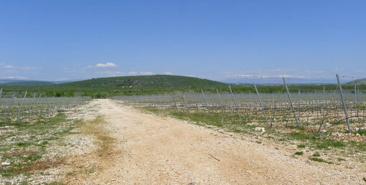 06 Toyota i Nuic 2013