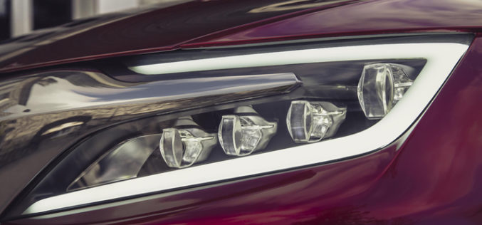 Wild Rubis u Shanghaiu