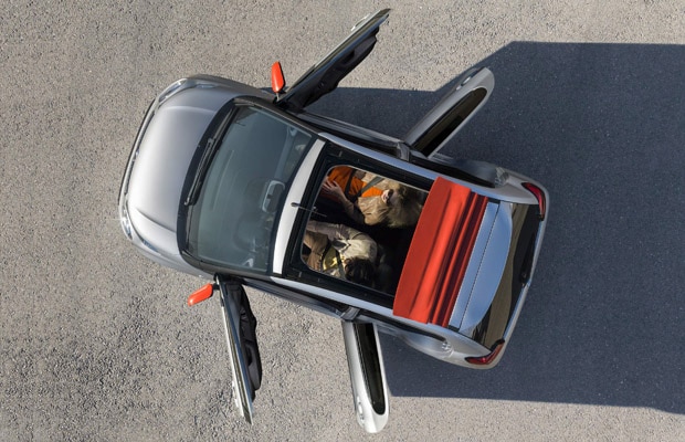 Novi Citoren C1 - 2014 - 02