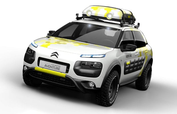 konceptcC4CactusAventure