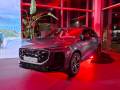 Audi Q3 bh premijera 2025 - 08
