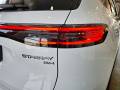 Geely Starray EM-i -bh premijera 2026- 16